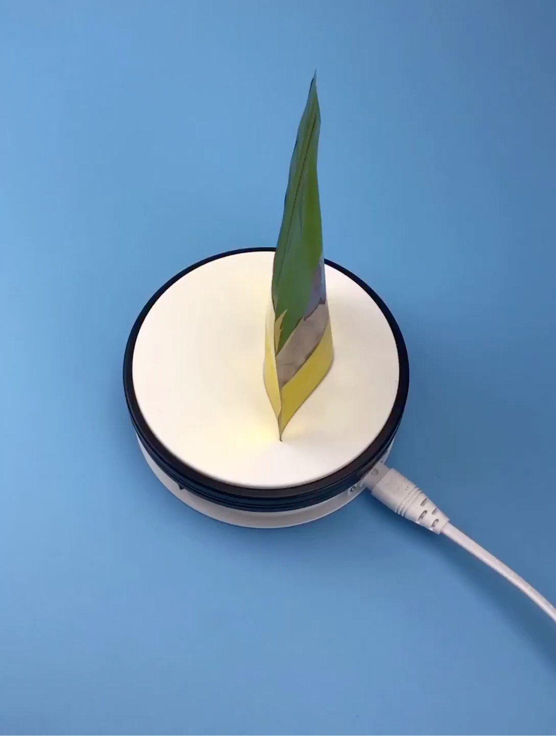 31 Gold Printing Ziplock Aluminum Foil Vacuum Sealer Food Bag Buy