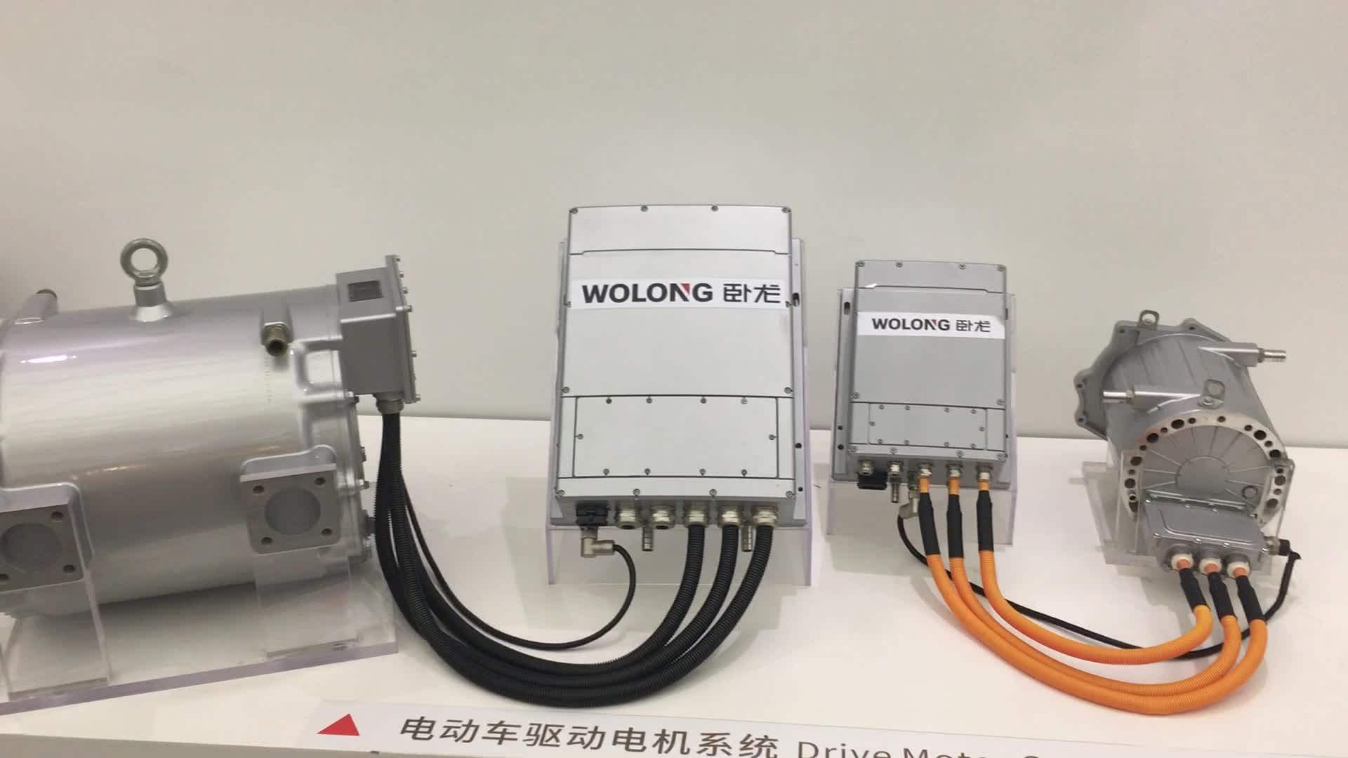 Wolong New Energy Electric Vehicle Permanent Motor Free Energy