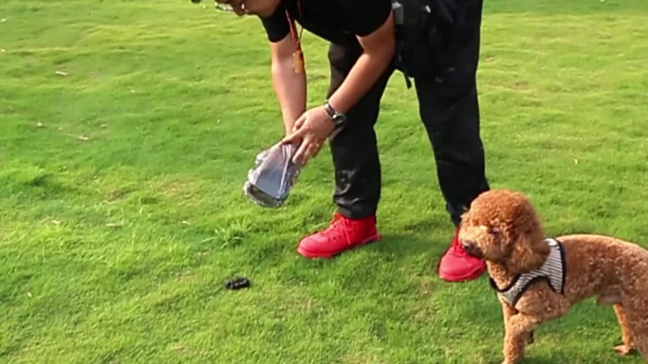 Pet Cat Litter Dog Pooper Scooper Clean Pick Up Pet Cleaning Scooper