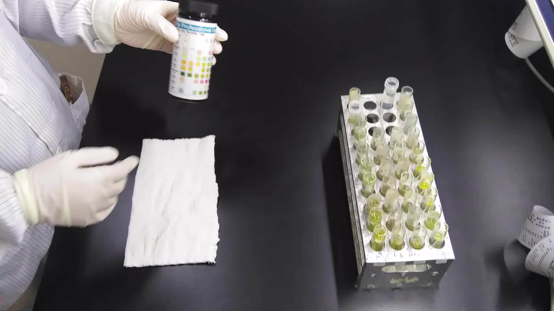 10 Parameter Urine Reagent Test Strips Urs10t For Blood Ketone Glucose