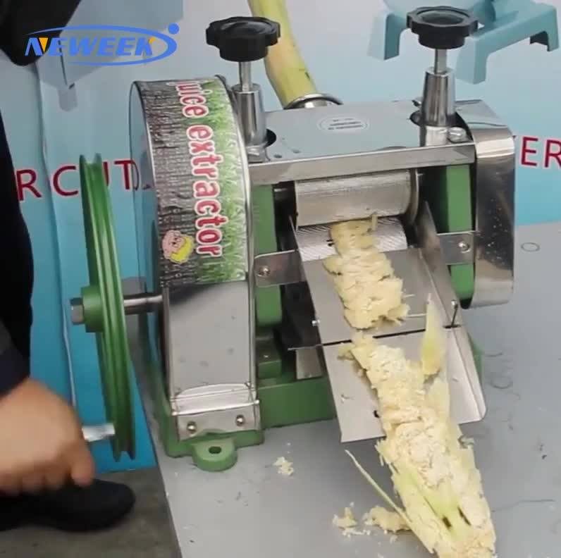 Neweek Ginger Juice Press Extraction Machine Kenya Extractor For Sugar