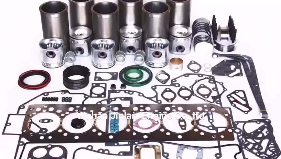 Liner/piston/gaskets/bearing/filter/injector/fuel Pump/valves