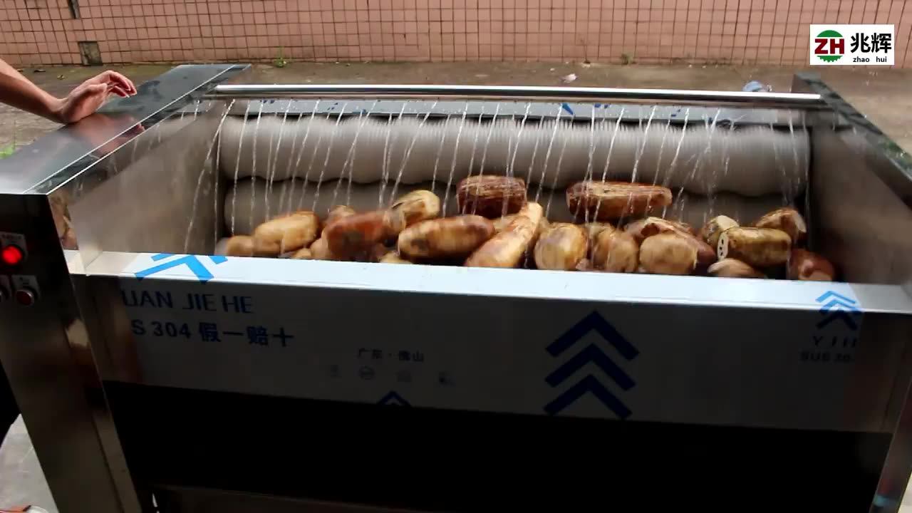 Easy Operation Potato Ginger Avocado Fruit Roller Washer Cleaner