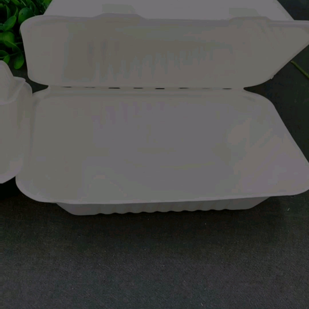 Eco Box Friendly Pulp Molded Clamshell Biodegradable 100 Compostable