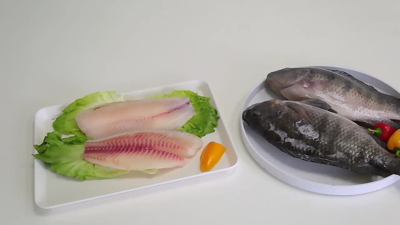 China Frozen Niloticus Tilapia Fish Fillet Iqf Fish Seafood Frozen