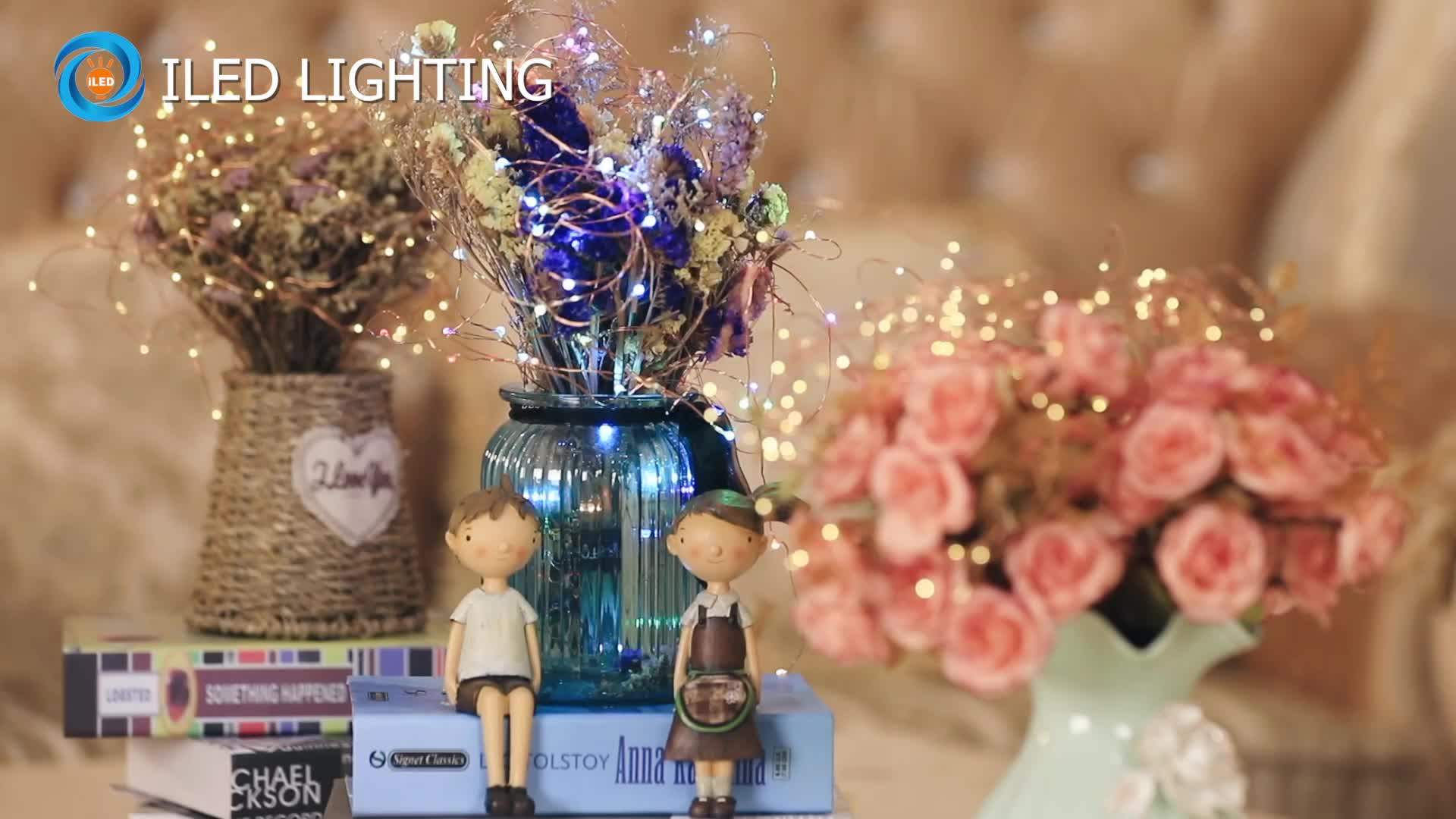 2 Meters 20leds Copper Wire String Lights Led Fairy Lights Gift Box