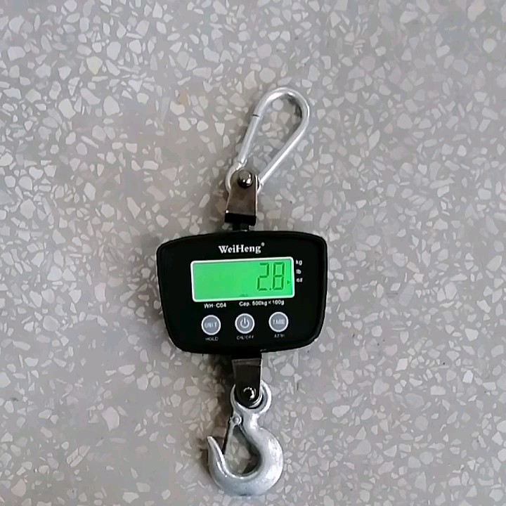 Ready To Ship 300kg 500kg Hanging Scale Digital Weight Machine For