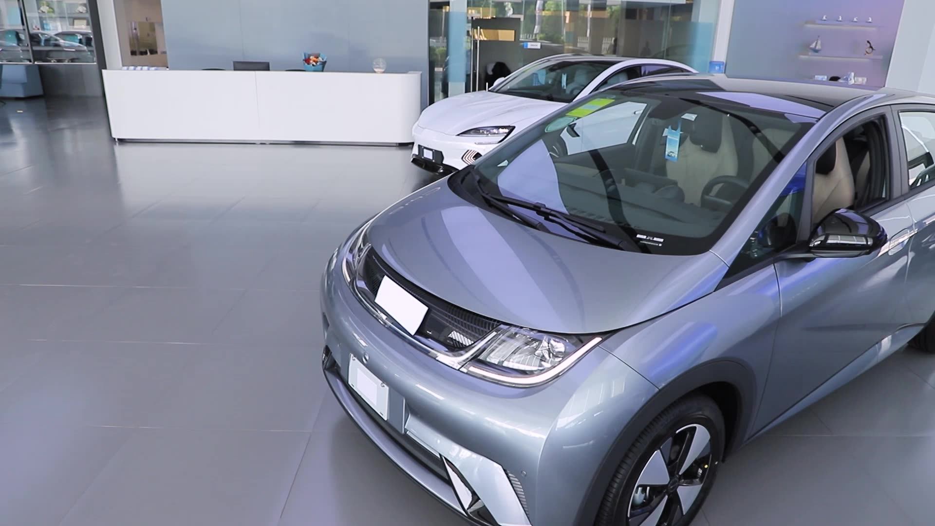 2021 Byd Dolphin Electric Car Vitality Edition 301km Ev Car Costeffective Compact Electric