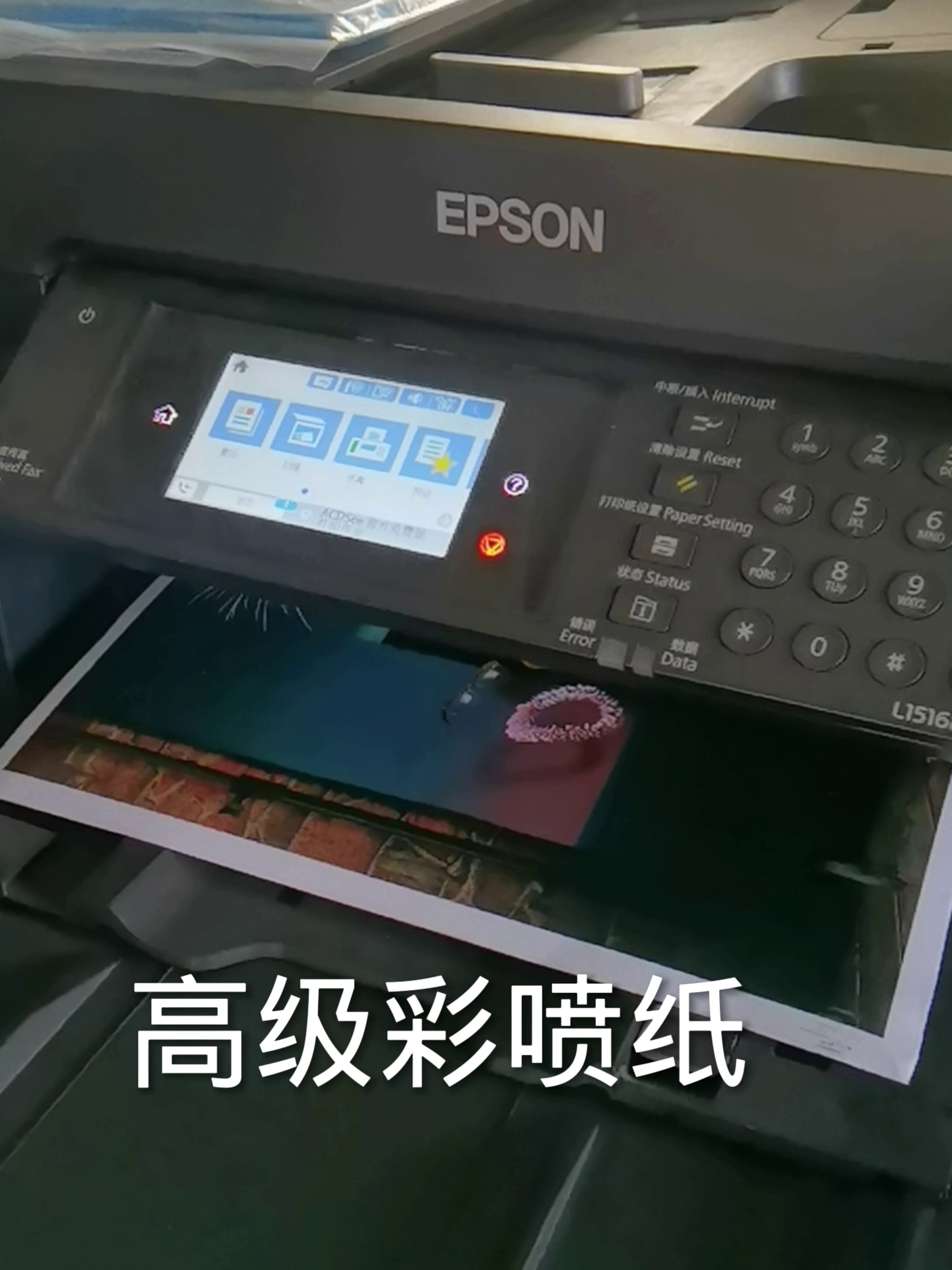 这个个纸居然能喷出德味？A1经济实惠90克彩喷纸真这个么神？