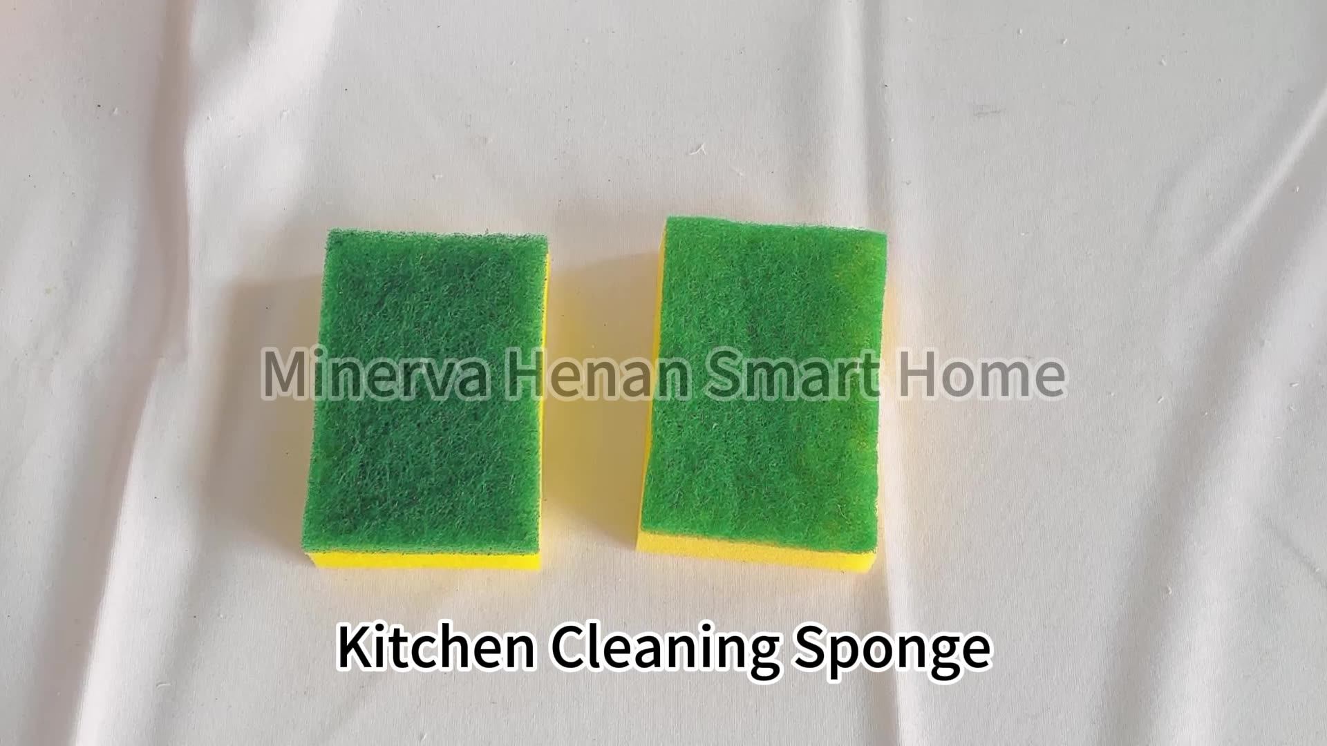 Hot Selling 2023 Dishwashing Sponge Scouring Pad Double Side Kitchen