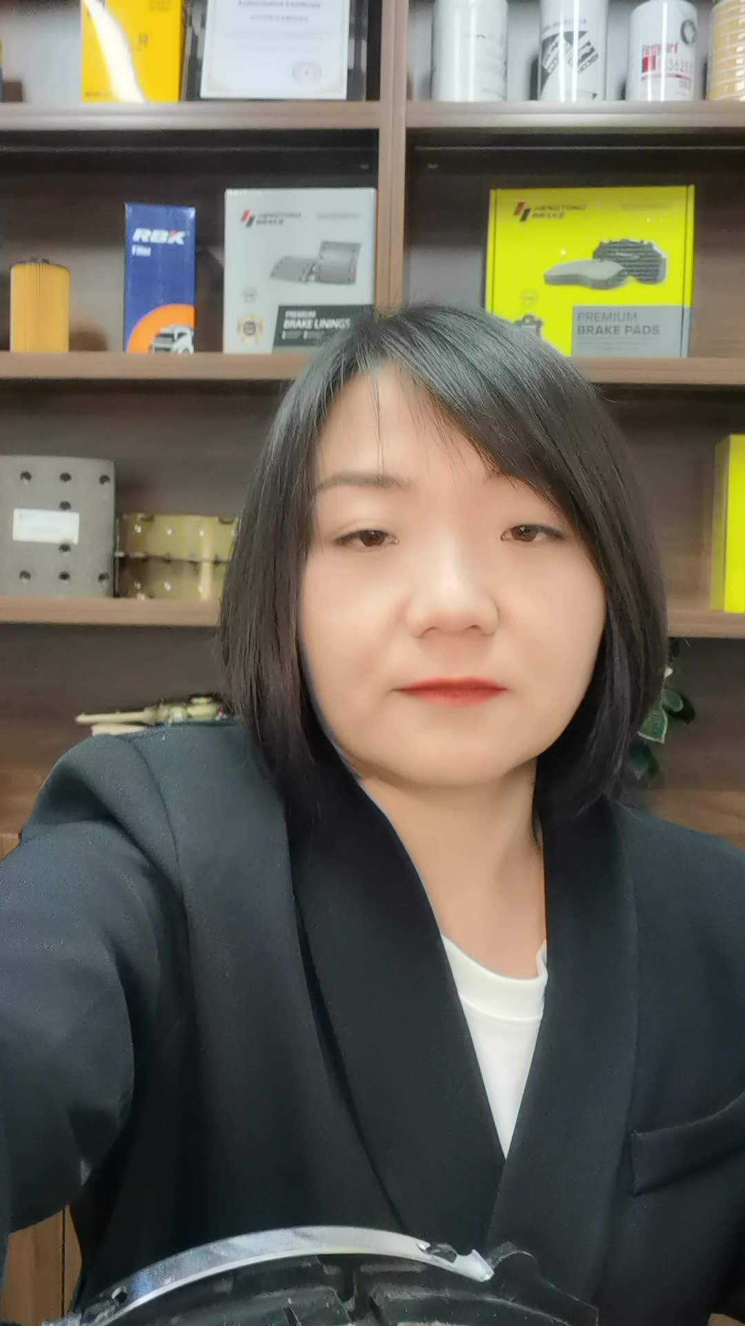 Welle Auto Parts Front Alxe Brake Pad