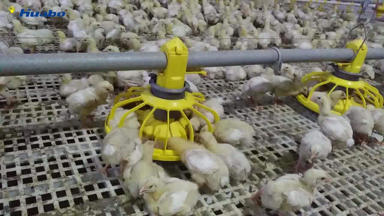 Automatic Broiler Pan Feeder Chicken Poultry Farming Equipment Buy