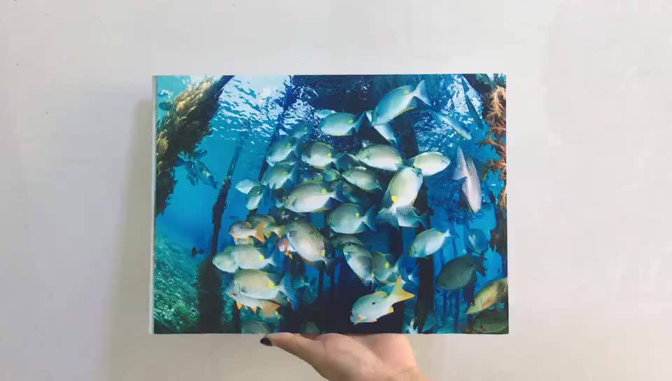 Advertisement Acrylic Sheet Uv Printer Industrial Glass Uv Printer For