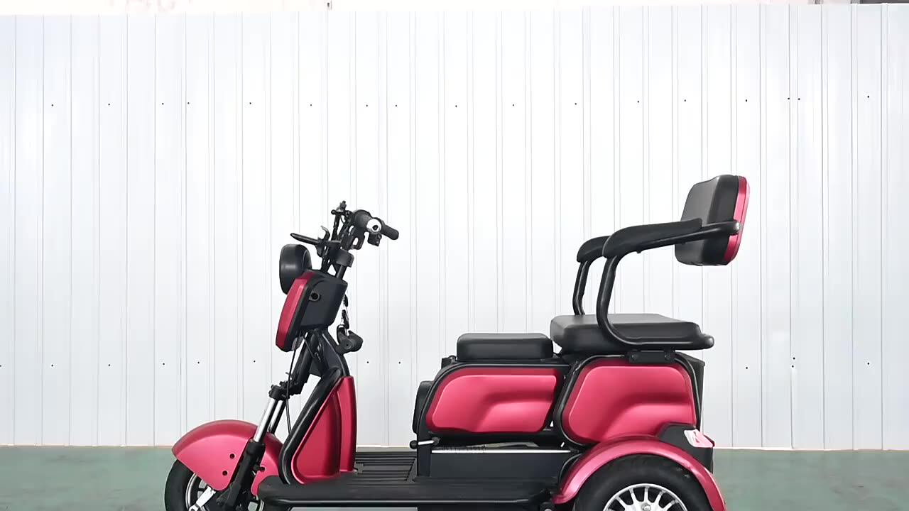Electric Tricycle Adult 3 Wheel Electric Mobility Scooter New Model