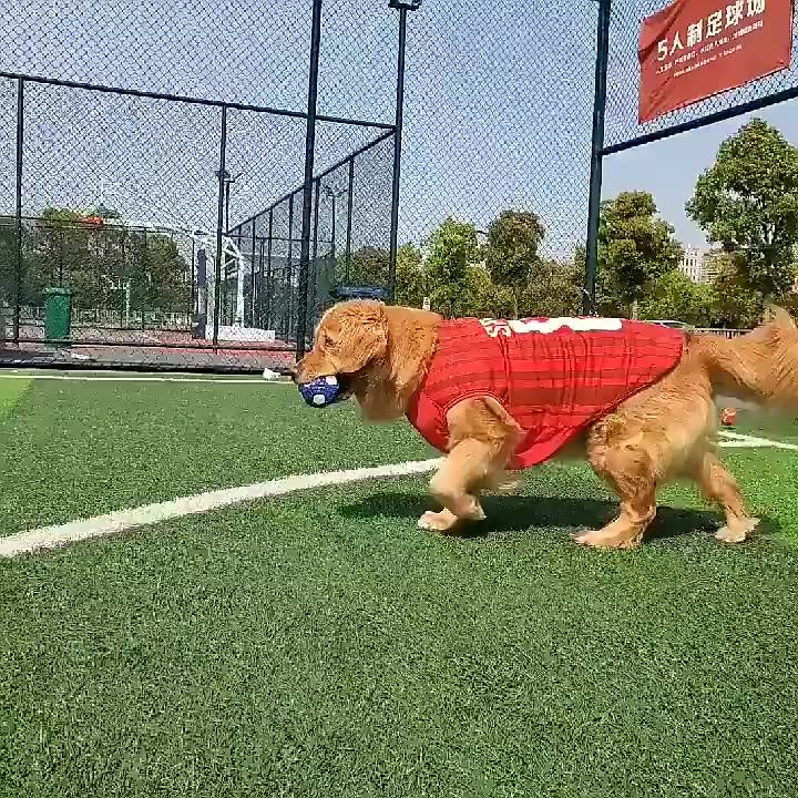 Custom Breathable Dog Tshirt Pet Clothes For Large,Medium And Small