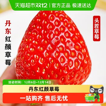 Haoxian market dandong red strawberries