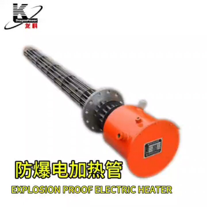 2000 Watt Phase Immersion Water Heater Rod High Accuracy