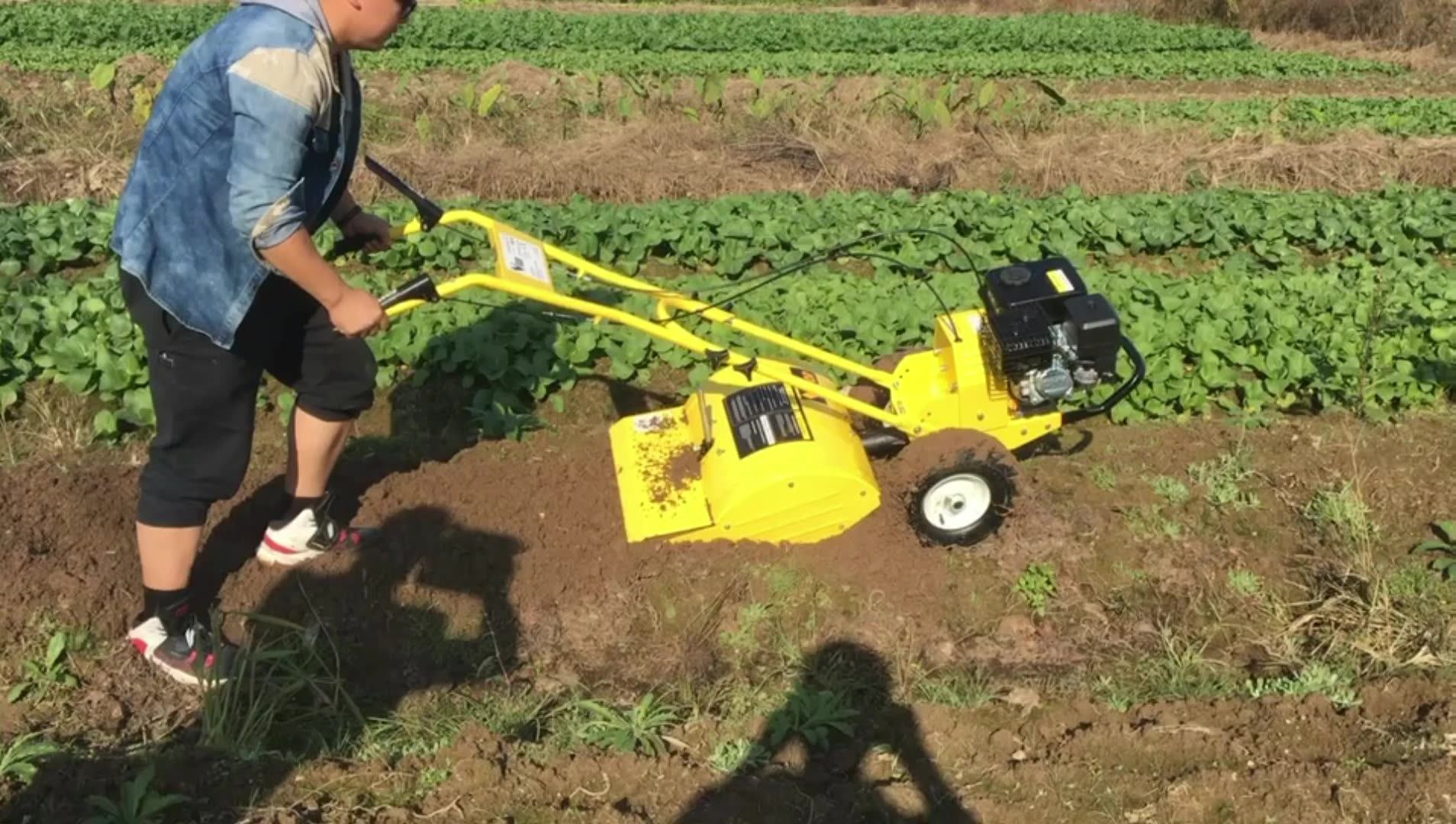 6.5HP Gasoline Rotary Cultivator Tiller with HONDA GX200 Engine, View