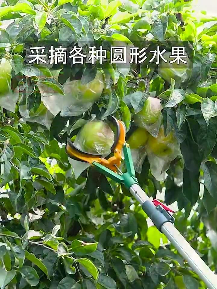 摘苹果工具摘果神器伸缩杆高空爪水果果子桃三爪采摘柿子梨摘果器-阿里巴巴