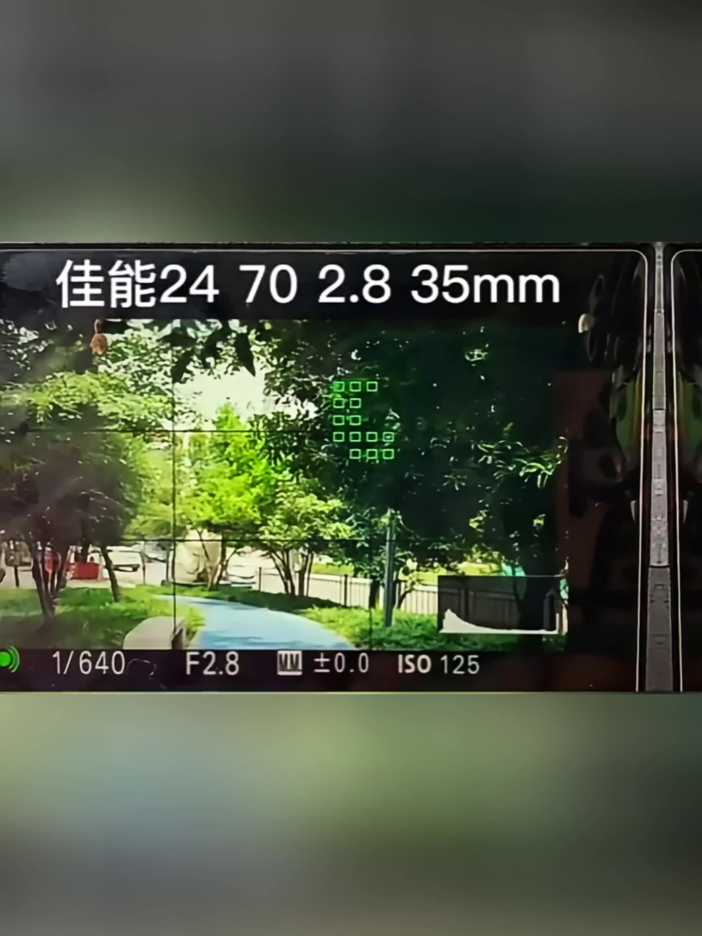 225块买个转接环？你家佳能够镜�头真可复活正A7上。