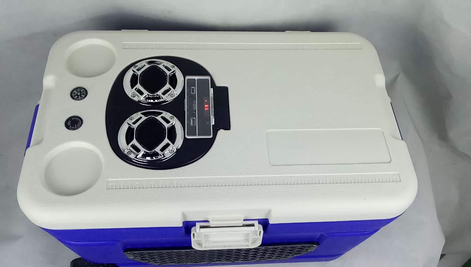 cooler box with bluetooth speaker