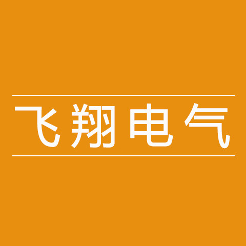 乐清飞翔电气