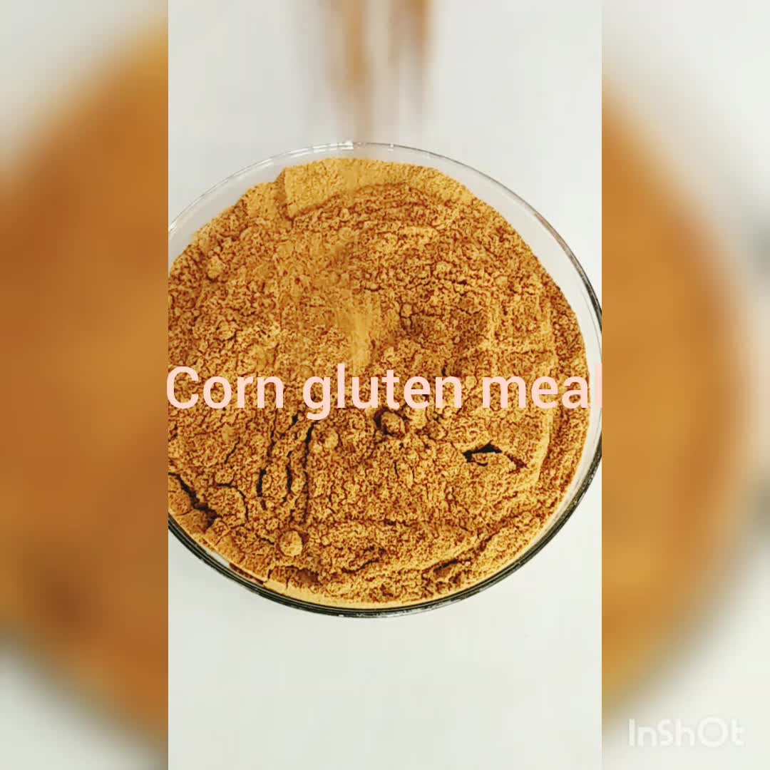 Corn Gluten Meal 60 Animal Feed Protein Supplement Buy Protein