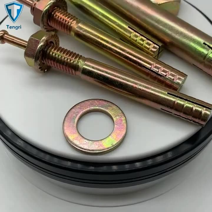 Factory 316 304 Stainless Steel Hit Expansion Anchors Hammer Drive Nail