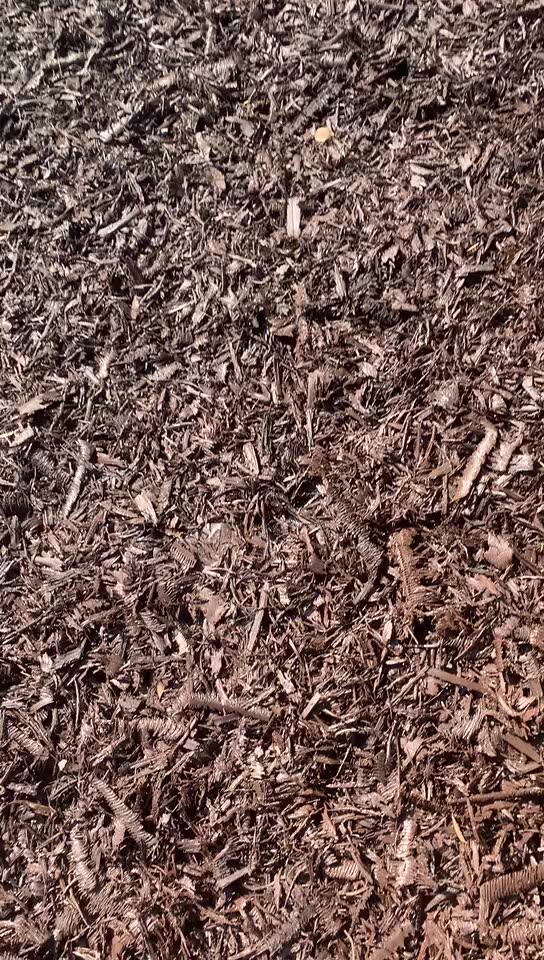 Granules Mulch Epdm Rubber Recyclable Colorful 14mm Graphic Design 3d