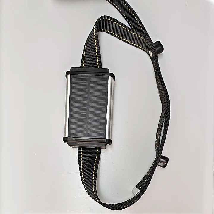 Tracker Animal Camel Gps Tracker For Cow With App Appliances Cheapest