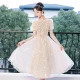 Wedding dress evening dress for women light luxury niche high-end French style high sense host engagement 18-year-old adult girl princess dress