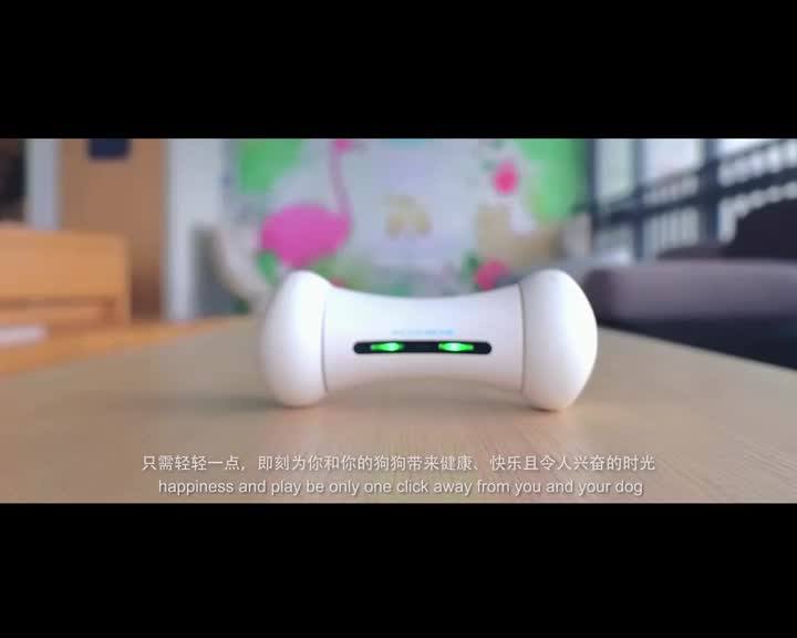 Accessories Dog Supplies Plush Pet Dog Chew Bone Interactive Dog Toy