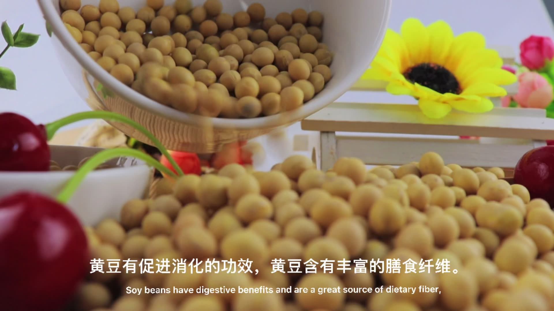 2023 Crop Chinese High Protein Soya En Grano Yellow Soybean Soya Beans