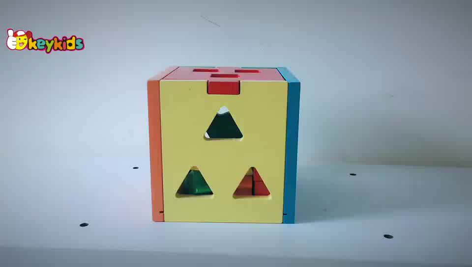 Best Montessori Learning Baby Wooden Shape Sorter Toys For 1 Year Old