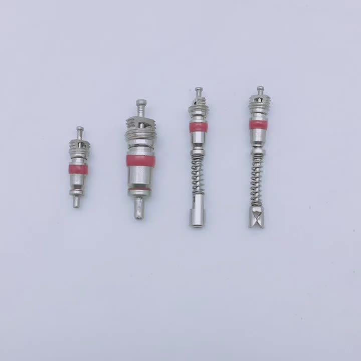 Wheelsky High Quality Standard Short Nickel Plated Schrader Tubeless