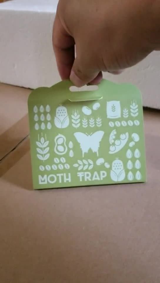 Nontoxic Pheromones Attractant Moth Trap With Hook Wardrobe Hanging