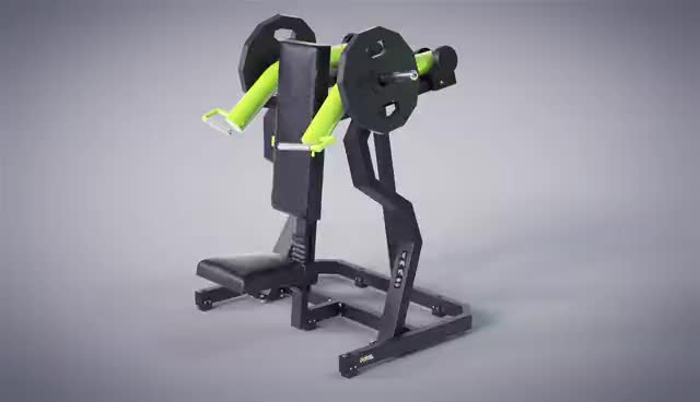 Life Fitness Shoulder Press