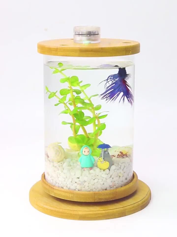 360 grad Rotierenden Glas Betta Fisch Tank Bambus Basis Mini Aquarium  Dekoration Drehen Fisch Schssel Aquarium Zubehr - AliExpress 15