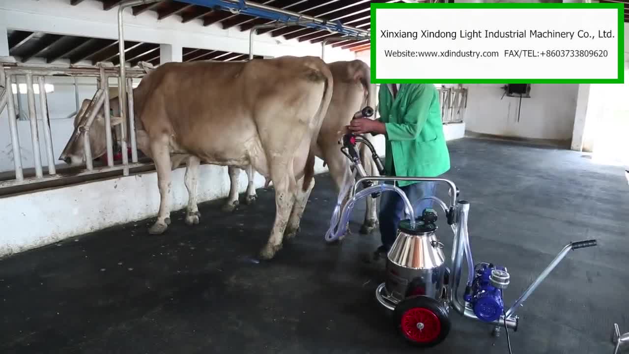 2 Cows Pump Milk Milking Machine Compressor Buy Milking Machine