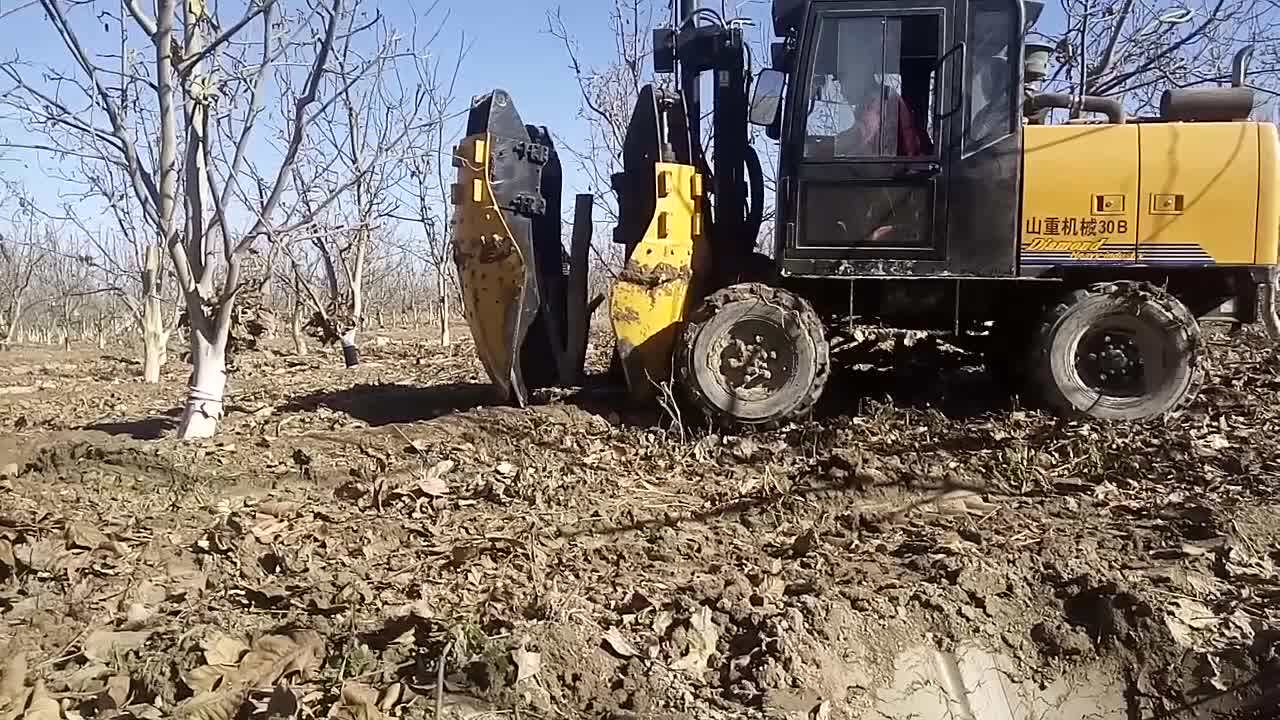 tree digging machine