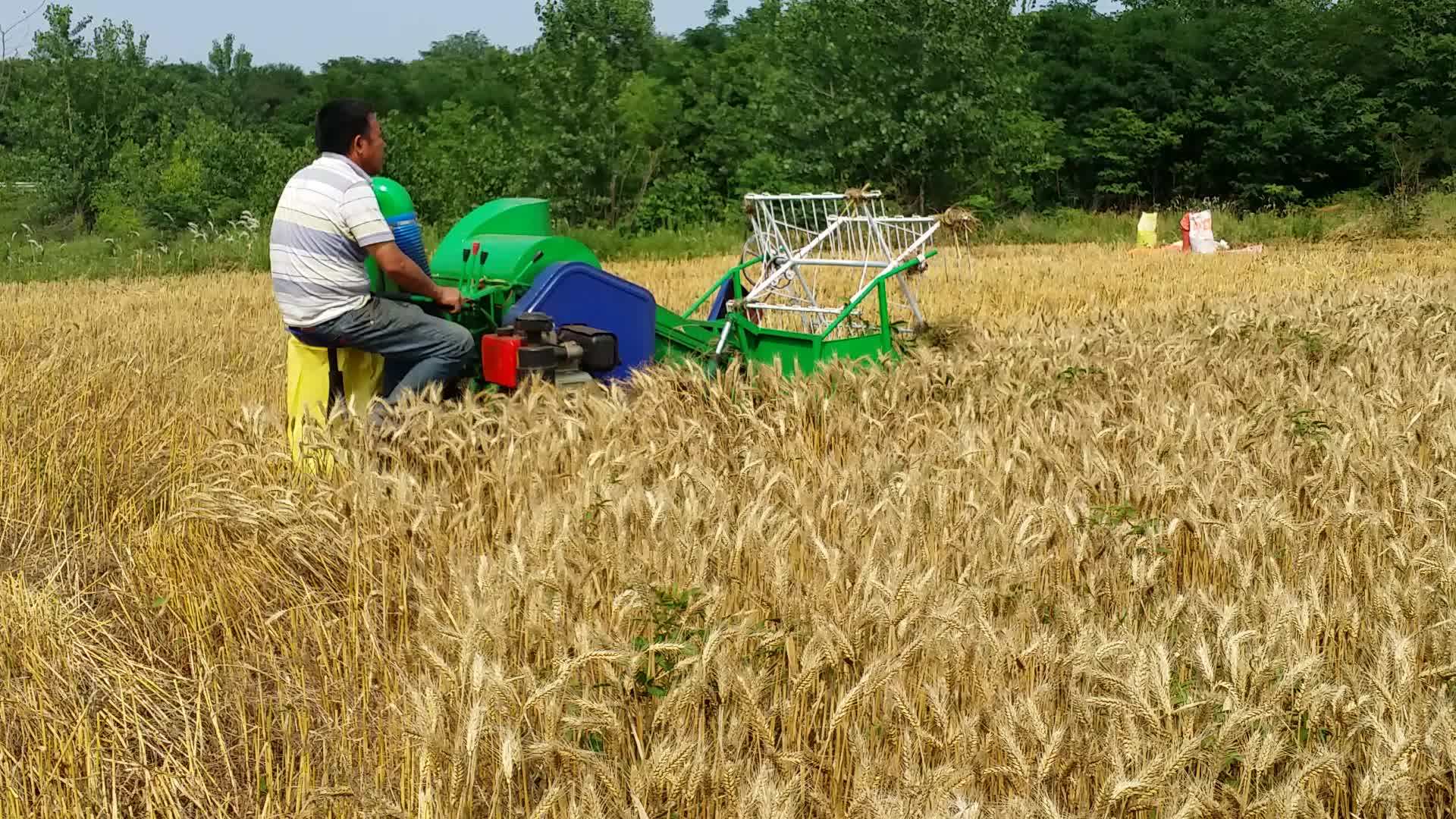 Supply Rice Harvest Machine Mini Rice Harvester Combined Small Rice