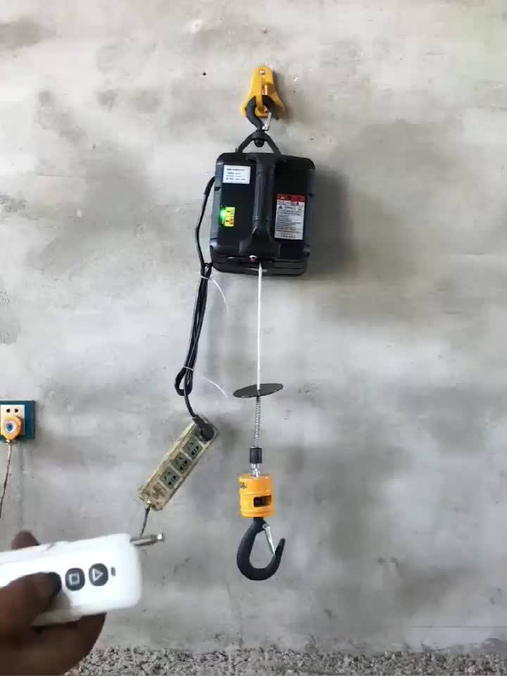 Lifting Hoist 220v Pa Portable Mini Electric Wire Rope Hoist 100kg