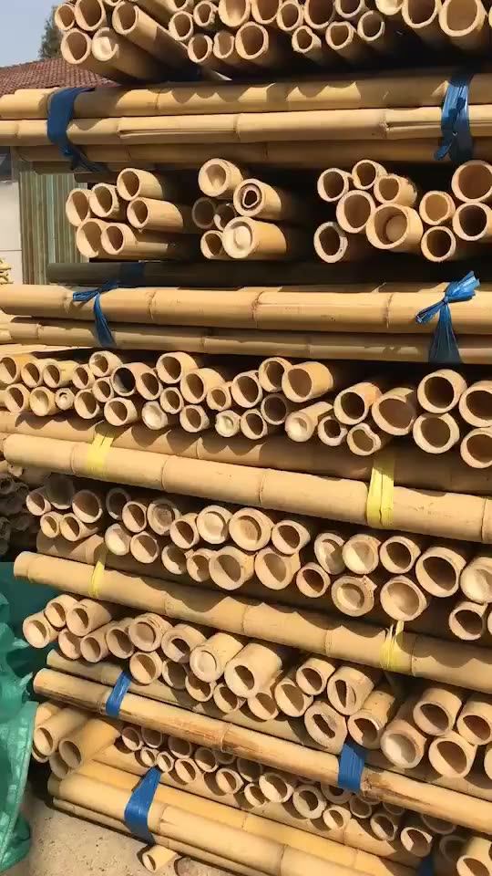 Wholesale Vietnam Bamboo Poles100 Natural Bamboo Pole/cane/stick