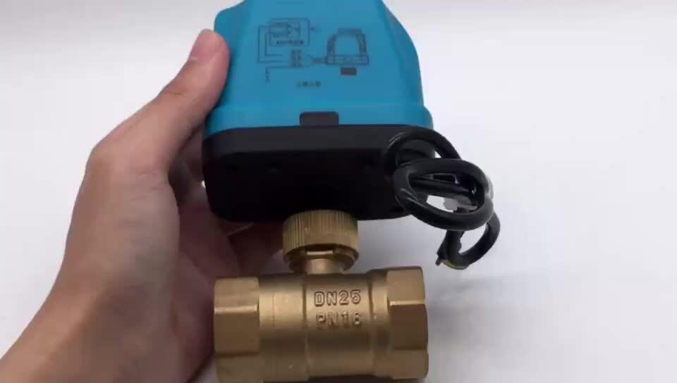 Auto Wifi Shut Off Valve Water Latching Motorized Water Solenoid Valve ...