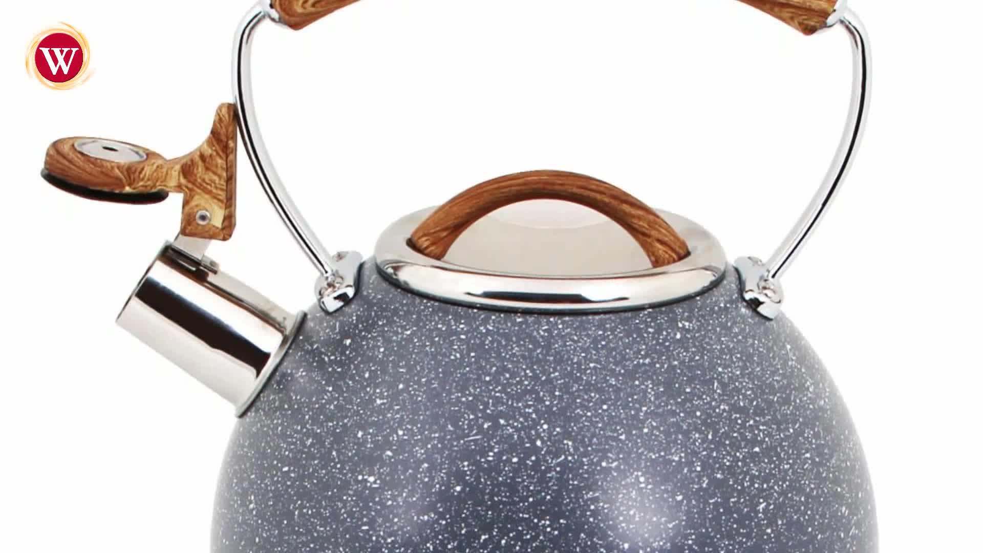 Stainless Steel Whistling Tea Kettle With Color Painting Buy