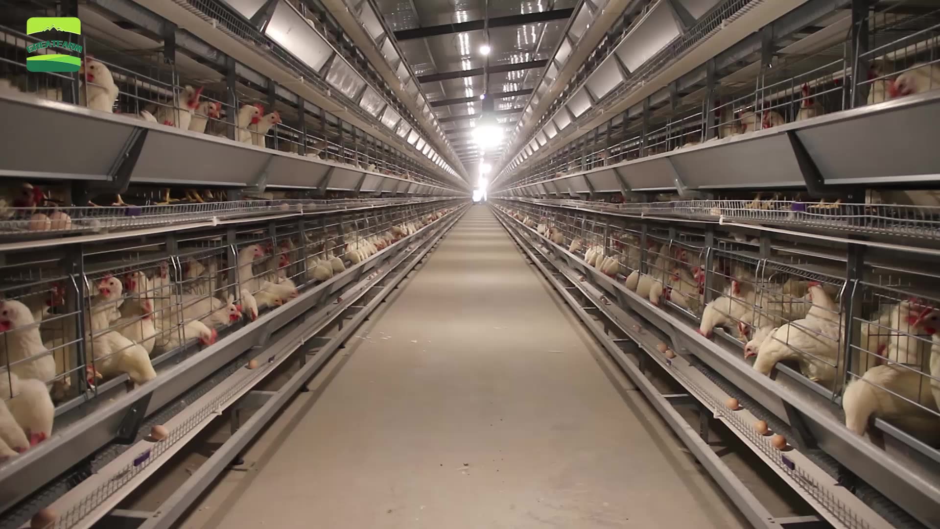 Battery Cages For Hens,Egg Laying Chicken Cages For Sale,Laying Cage