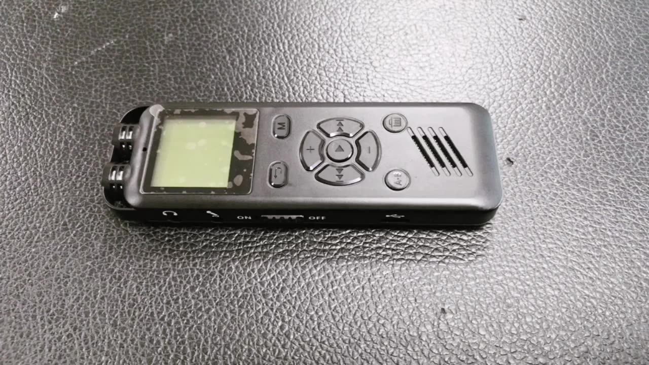 Aomago Professional Recording Chip Dual Microphone Mini Digital Small