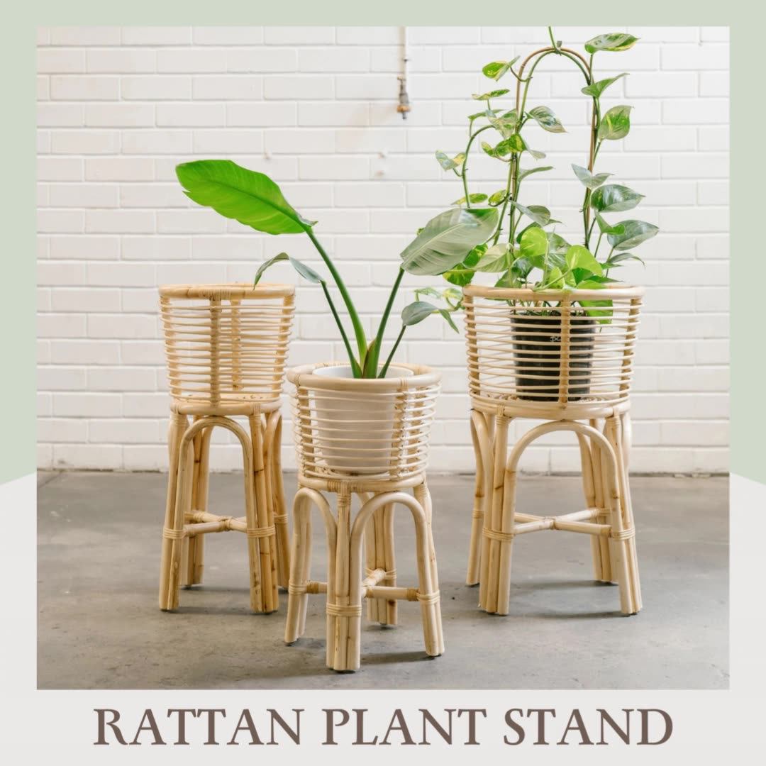 Woven Natural Rattan Cane Plant Stand Natural Modern Style Planter