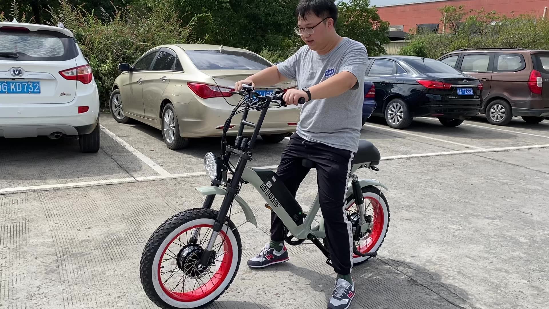 20''fat Tire Ebike Green Super Power Pedal Assist Two 2 Seater Seat Retro Electric Bike Vintage