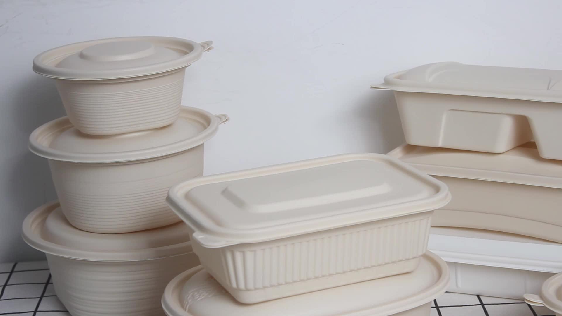 Biodegradable Corn Starch Meal Box Two Layers Of Lunch Box Disposable